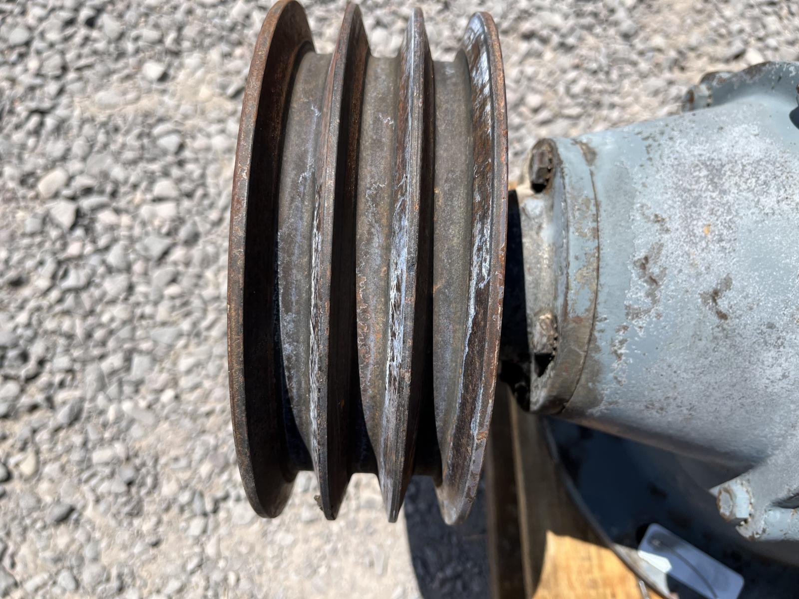 ./imagenes/INVOICE/2019/16770/AMARILLO (5).JPG